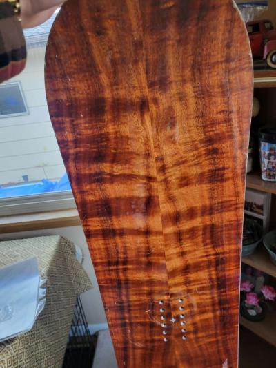 jacket a sweater a short sleeve a backpack tiresba bike - Thumbnail 5