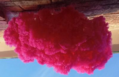 2 to 3yrs Hot Pink TuTu Pettiskirt EUC Button Cinchers - Thumbnail 4