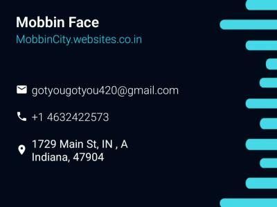 owner professional movers