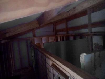 4Bay Dog kennel for breading o - Thumbnail 3