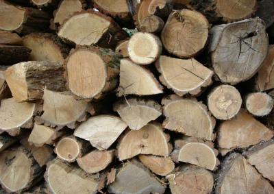 Half Cord Hardwood Mixed Firewood - Thumbnail 2