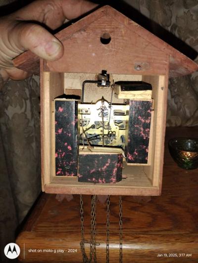 cuckoo cloak - Thumbnail 3