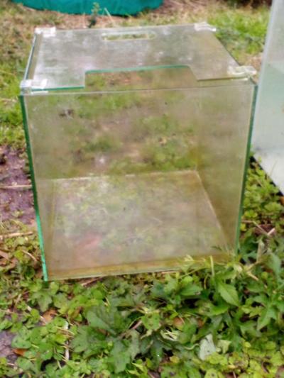 fish tanks and stuff - Thumbnail 2