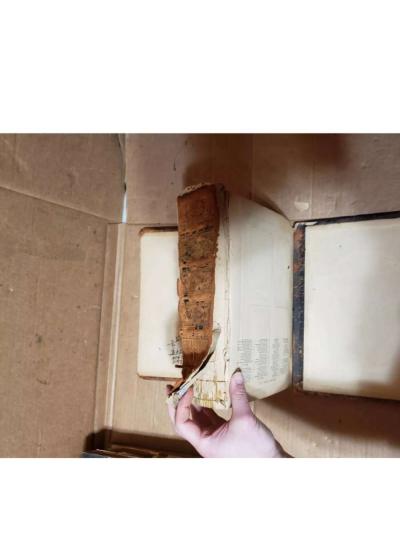 The Holy Bible  Philadelphia William W Harding 1876 - Thumbnail 5