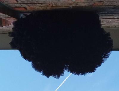 6yrs Blk Teal TuTu Pettiskirt EUC Bow Cinches Waist - Thumbnail 5