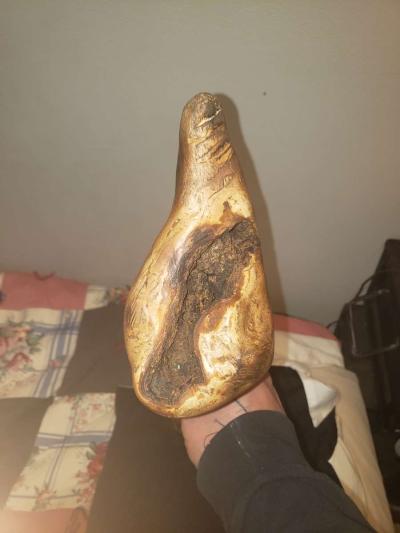 native American powwow club - Thumbnail 4