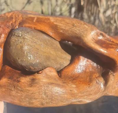 Root system With rocks - Thumbnail 2