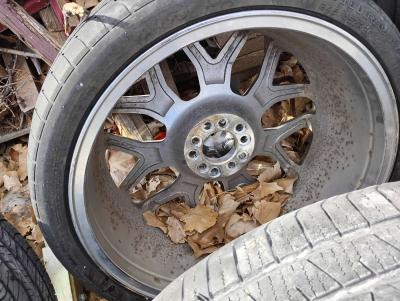 stock rims - Thumbnail 2