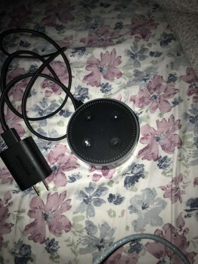 Alexa Amazon speaker - Mc Lean, Virginia