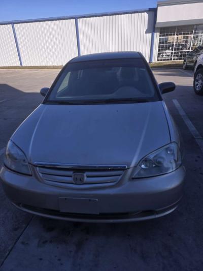 salves - Thumbnail 3