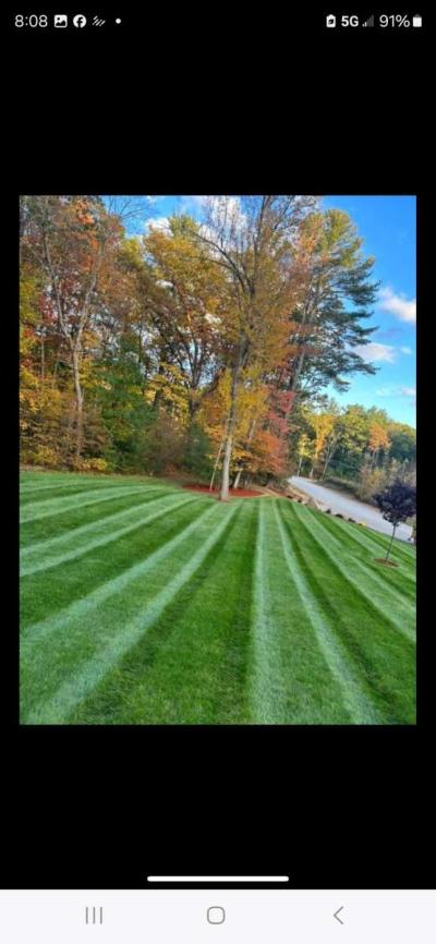 LANDSCAPING  ROMODELING  AND CONSTRUCTION AVAILABLE - Thumbnail 6