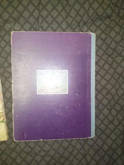 Walt Disney 1931 Peter Pan - Thumbnail 2