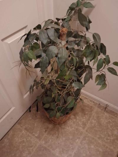 home decor - Thumbnail 5