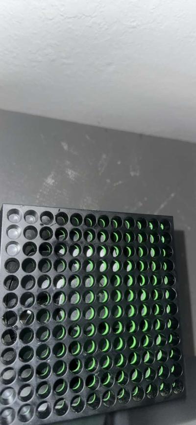 xbox series x with hdmi - Thumbnail 2