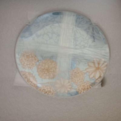 Fhgnysm 12 PieceBone China Tableware Set - Thumbnail 5