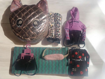 Rainbow high LOL na na na hairdorables and I love VIP Pets - Thumbnail 4