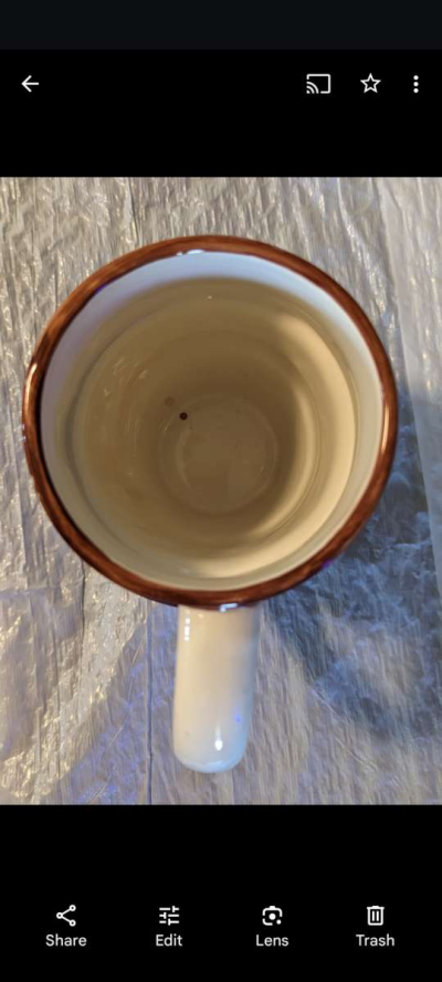 Rare Vintage Thanksgiving WCL Ceramic Turkey Mug - Thumbnail 2