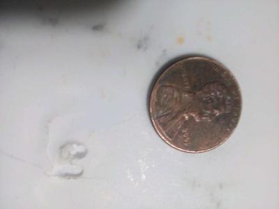 flea market 2009 penny or or best offer