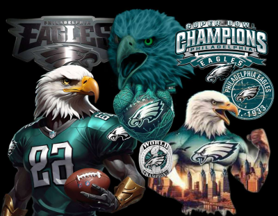 Customer Philadelphia Eagles fine art print