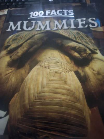 100 facts mummies - Thumbnail 3