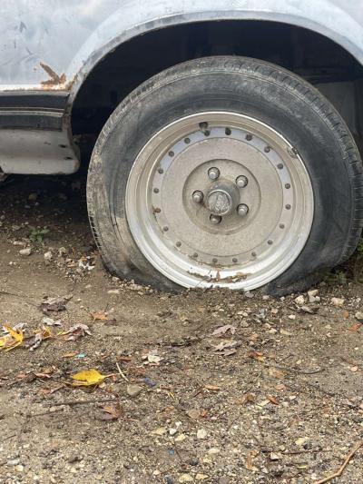 FORD MUSTUNG 82 FOXBODY - Thumbnail 6