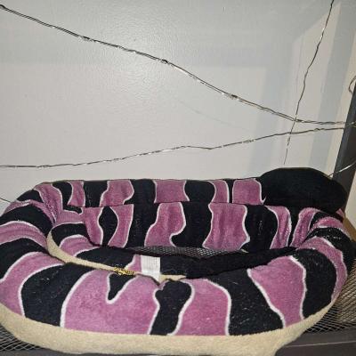 stuffed snake - Thumbnail 2