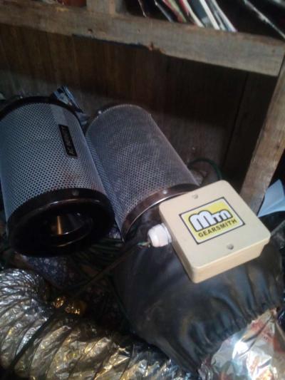 cannabis growing set