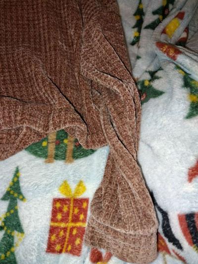 hoodie - Thumbnail 2