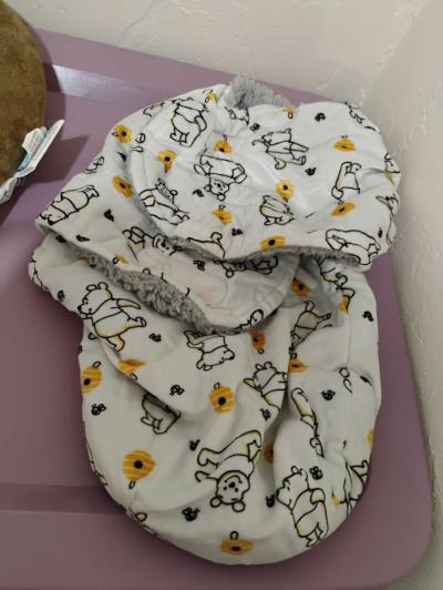 Pooh Bear Swaddle - Fruitland Park, Florida
