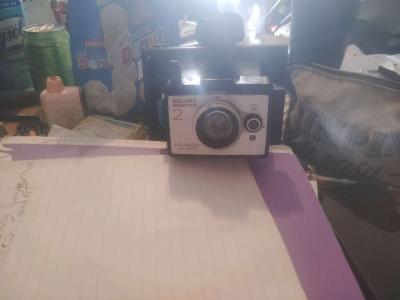 Say cheese - Thumbnail 3