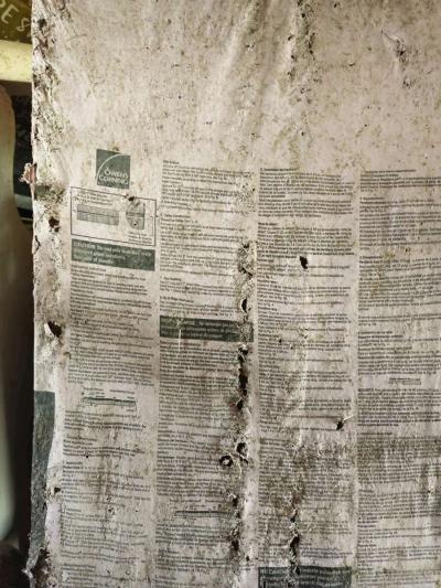 roofing shingles - Thumbnail 6