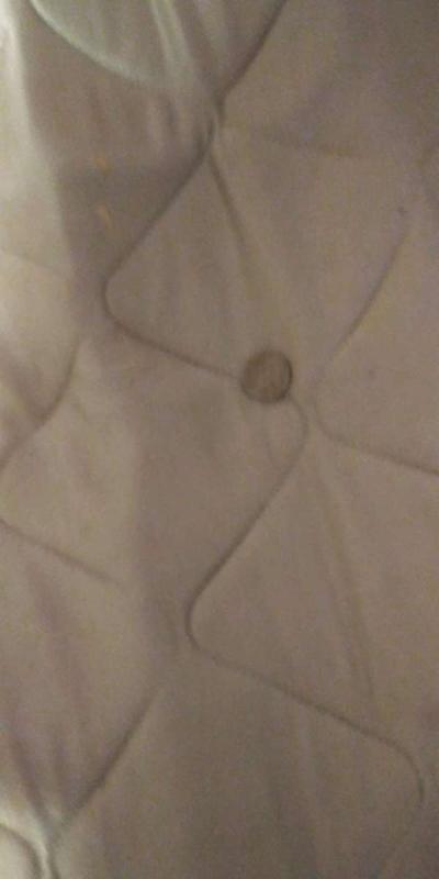 bufflo - Thumbnail 3