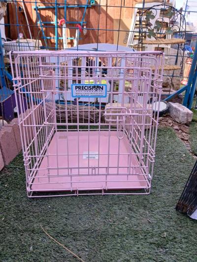 pink dog creat - Thumbnail 2