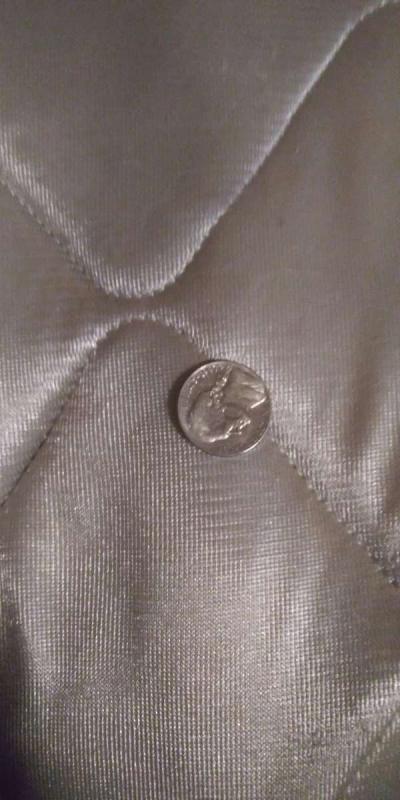 nickels - Thumbnail 2