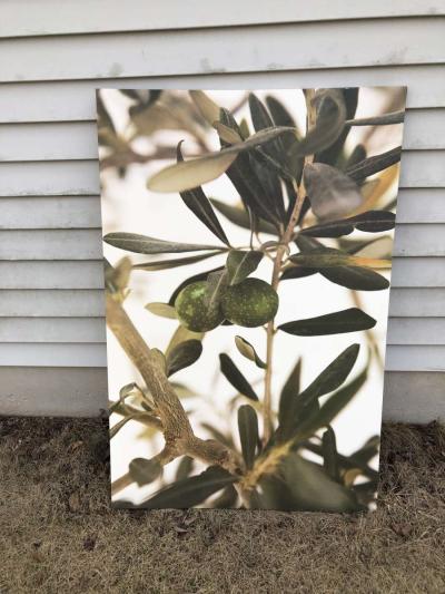 IKEA Olive branch canvas 30 x46 - Thumbnail 2