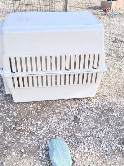 Xtra large dog crate - Thumbnail 2
