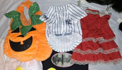 dog clothes - Thumbnail 4