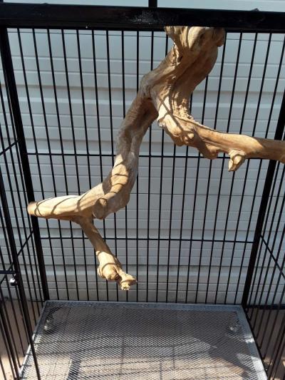 Large Black Bird Cage with Large Perch on Wheels Brand New - Thumbnail 3