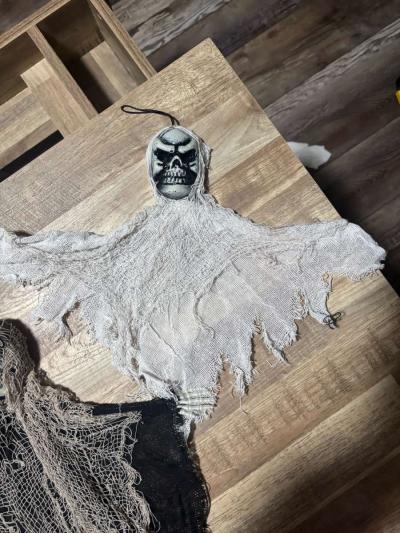 Hanging skeletons - Thumbnail 2