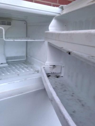 refrigerator and gently used electric stove - Thumbnail 4