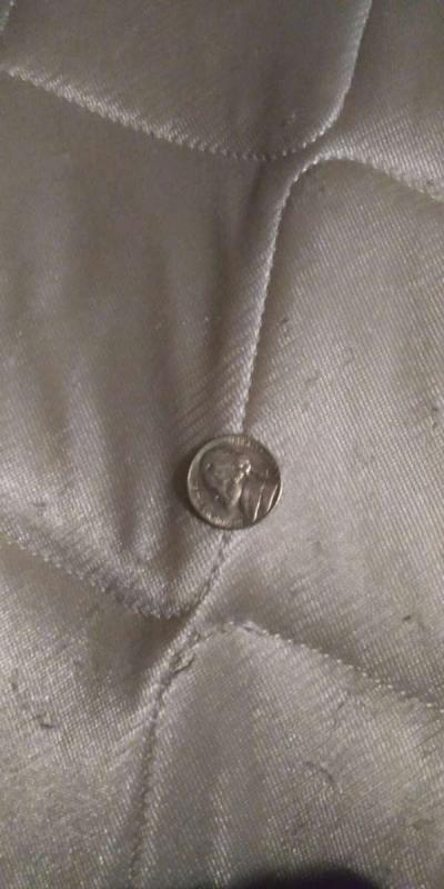 nickels - Thumbnail 3
