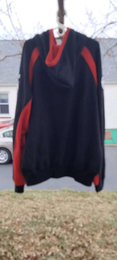 Villaris Martial Arts Hoodie - Thumbnail 2