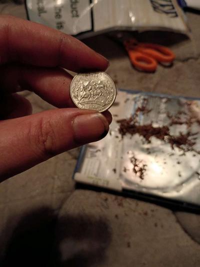 old 2006 Nebraska and Nevada quaters - Thumbnail 3