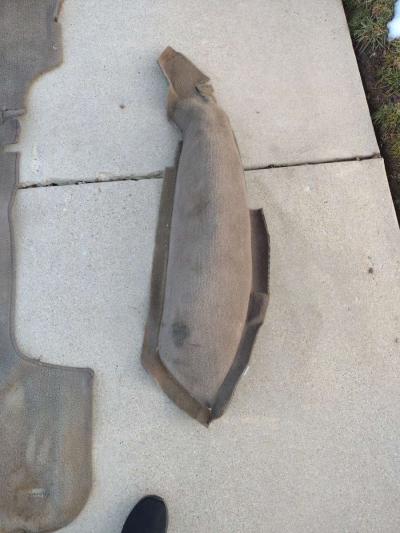 4Runner limited edition cargo carpet - Thumbnail 4