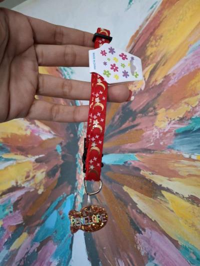 Collar y tag Id personalizados - Thumbnail 2