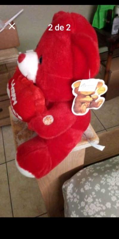 teddy bear - Altamonte Springs, Florida