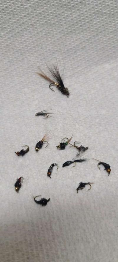 30 HandTied Trout Wet Flies Precision Fishing with S14 hooks - Thumbnail 5