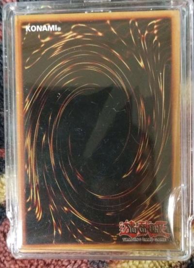 BlueEyes White Dragon YAP1EN001 - Thumbnail 3