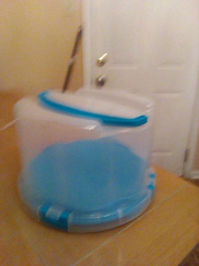 cake plate - Thumbnail 5