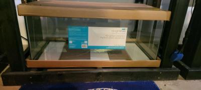 Fish Tank - Thumbnail 4